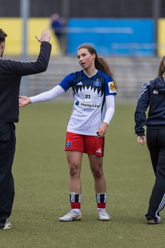 Bild 236 - wBJ Hamburger SV - FC Suederelbe : Ergebnis: 9:0